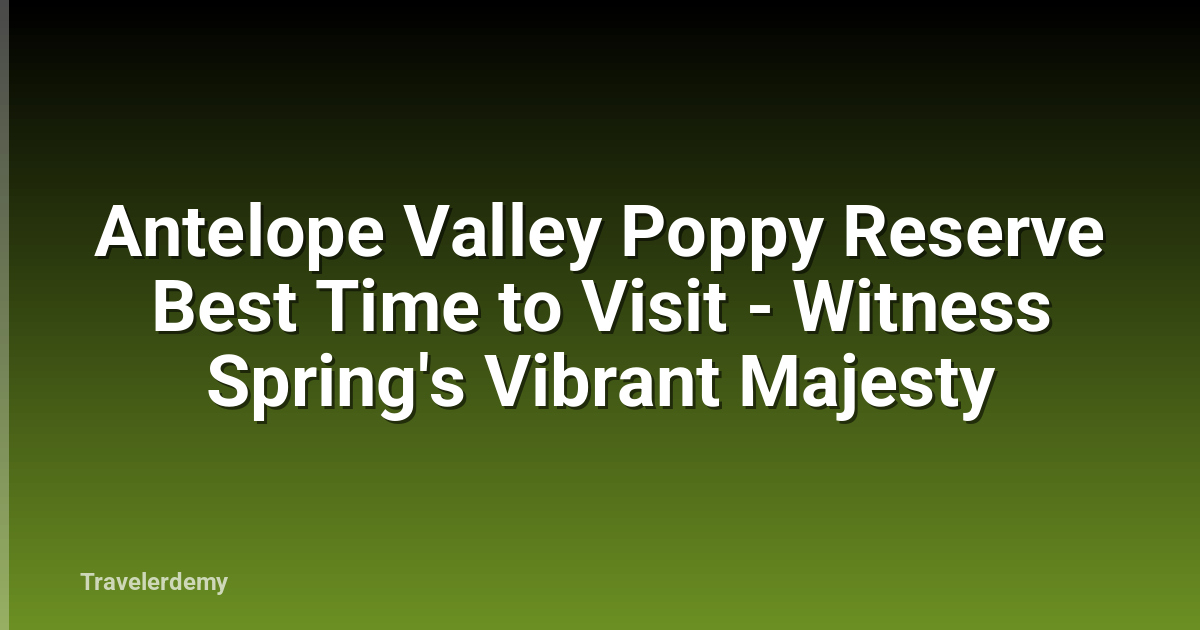 Antelope Valley Poppy Reserve Best Time to Visit - Witness Spring's Vibrant Majesty