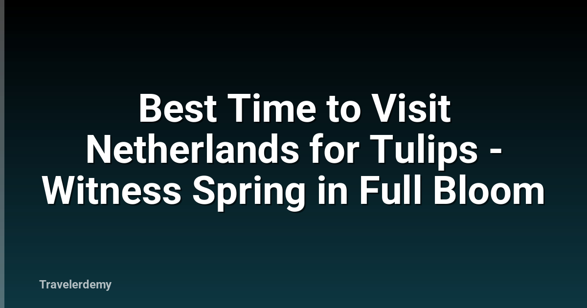 Best Time to Visit Netherlands for Tulips - Witness Spring in Full Bloom