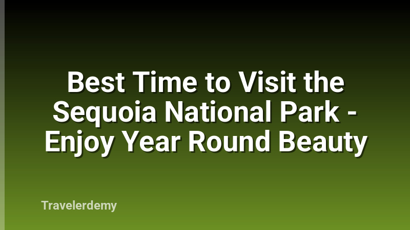 Best Time to Visit the Sequoia National Park - Enjoy Year Round Beauty