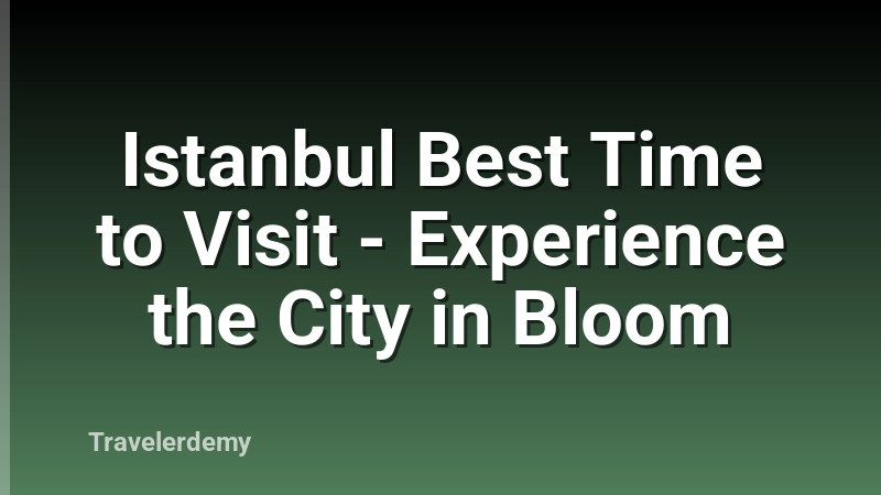 Istanbul Best Time to Visit - Experience the City in Bloom